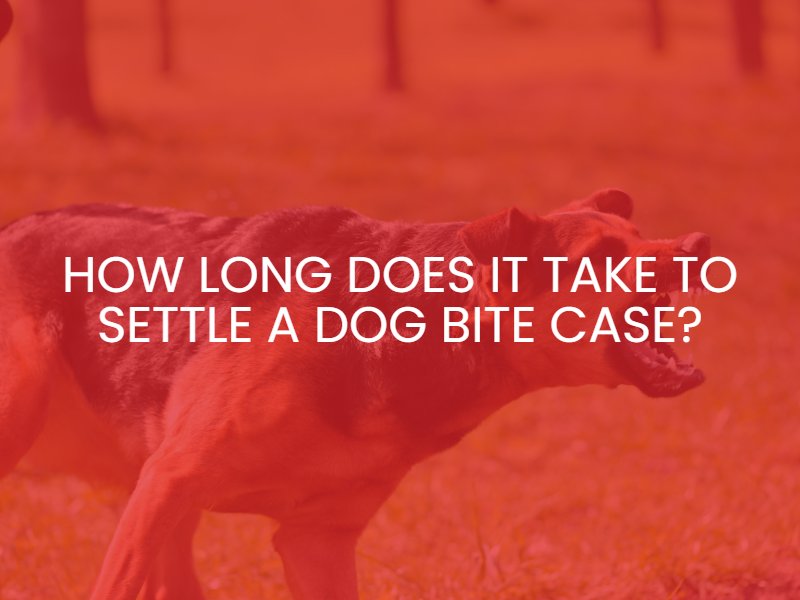 How Long Does It Take to Settle a Dog Bite Case?