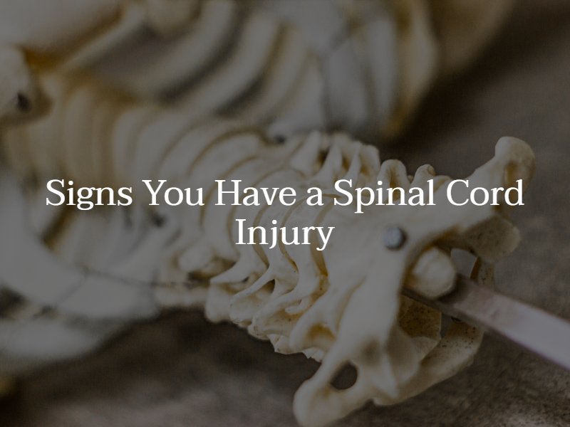spinal cord injury symptoms