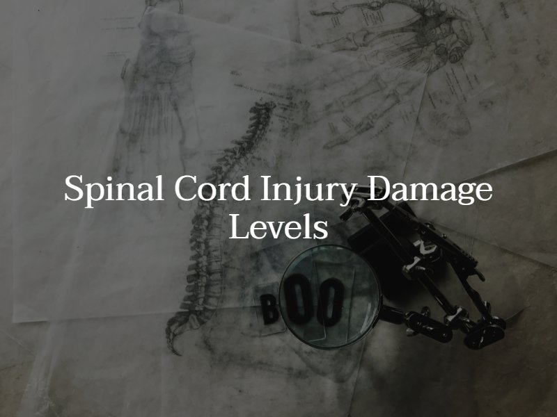 spinal cord injury levels